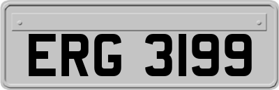 ERG3199