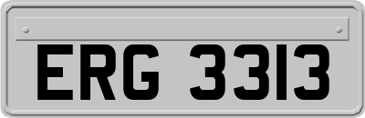 ERG3313