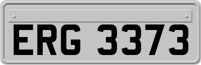 ERG3373
