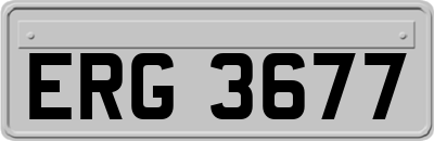 ERG3677
