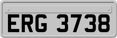 ERG3738