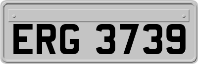 ERG3739