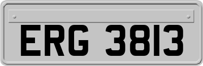 ERG3813