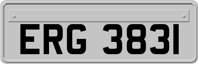 ERG3831