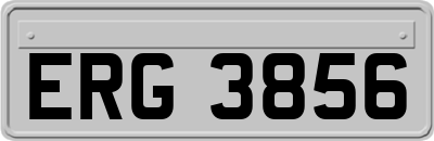 ERG3856
