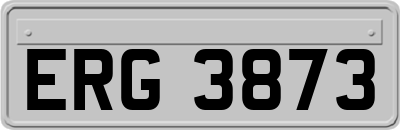 ERG3873