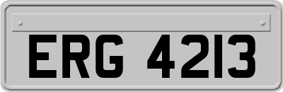 ERG4213