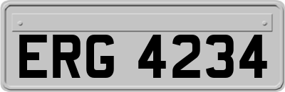 ERG4234