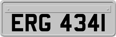 ERG4341
