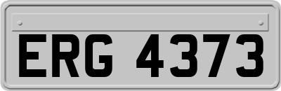 ERG4373