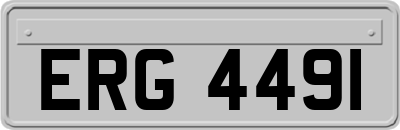 ERG4491