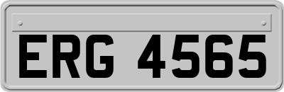ERG4565