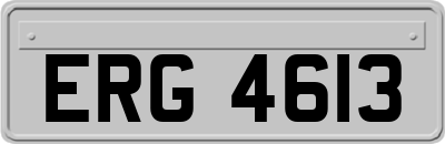 ERG4613