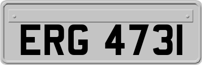 ERG4731