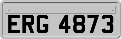 ERG4873