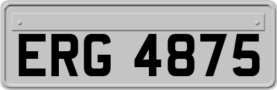 ERG4875