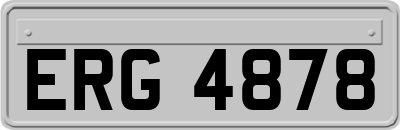 ERG4878