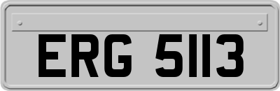 ERG5113