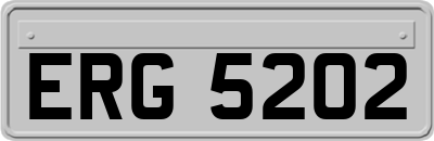 ERG5202
