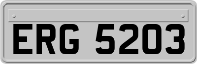 ERG5203