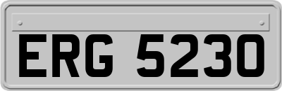 ERG5230