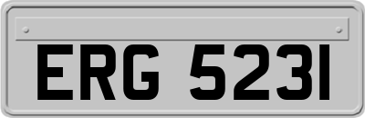 ERG5231