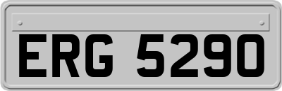 ERG5290