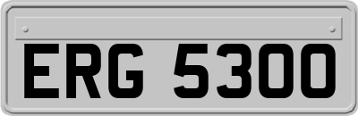 ERG5300
