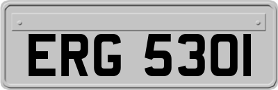 ERG5301