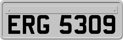 ERG5309