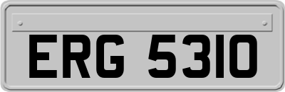 ERG5310