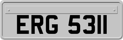 ERG5311