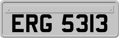 ERG5313
