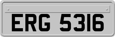ERG5316