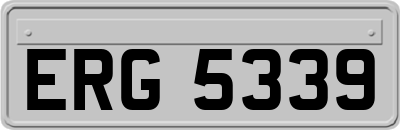 ERG5339
