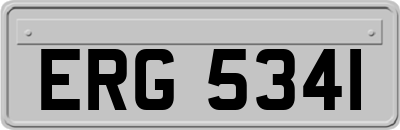 ERG5341