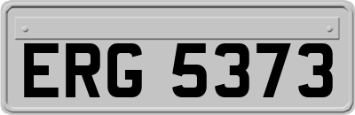ERG5373