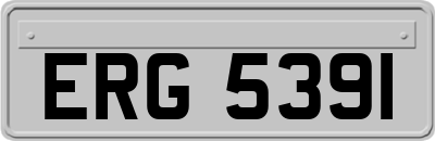 ERG5391