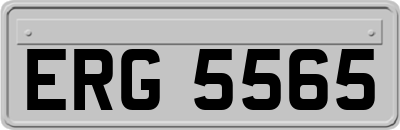 ERG5565