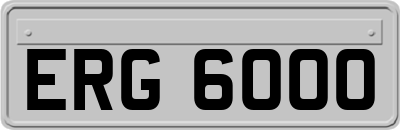 ERG6000