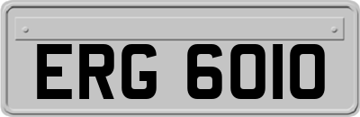 ERG6010