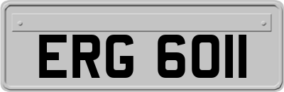 ERG6011