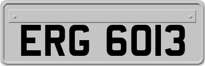 ERG6013