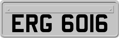 ERG6016