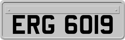 ERG6019