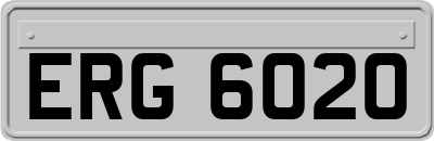 ERG6020