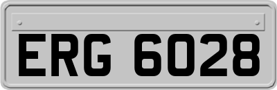 ERG6028