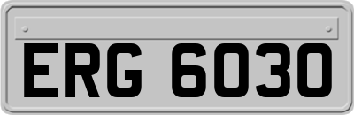ERG6030
