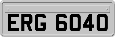 ERG6040