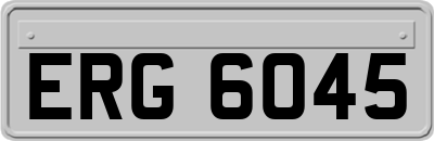ERG6045